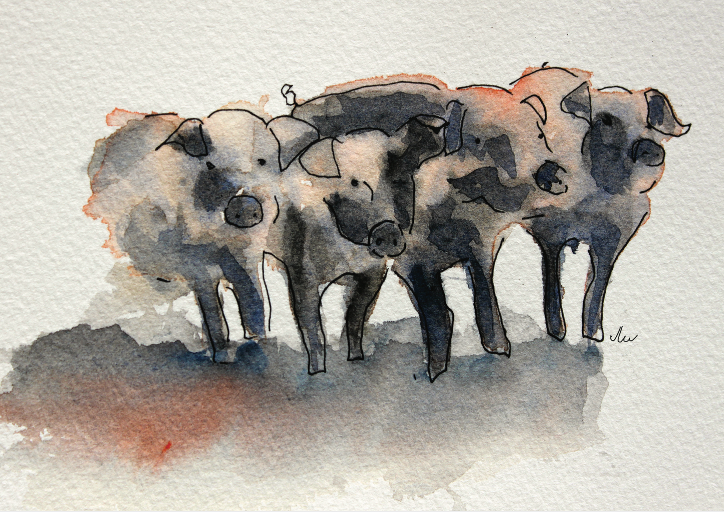 Greeting Card - Pigs