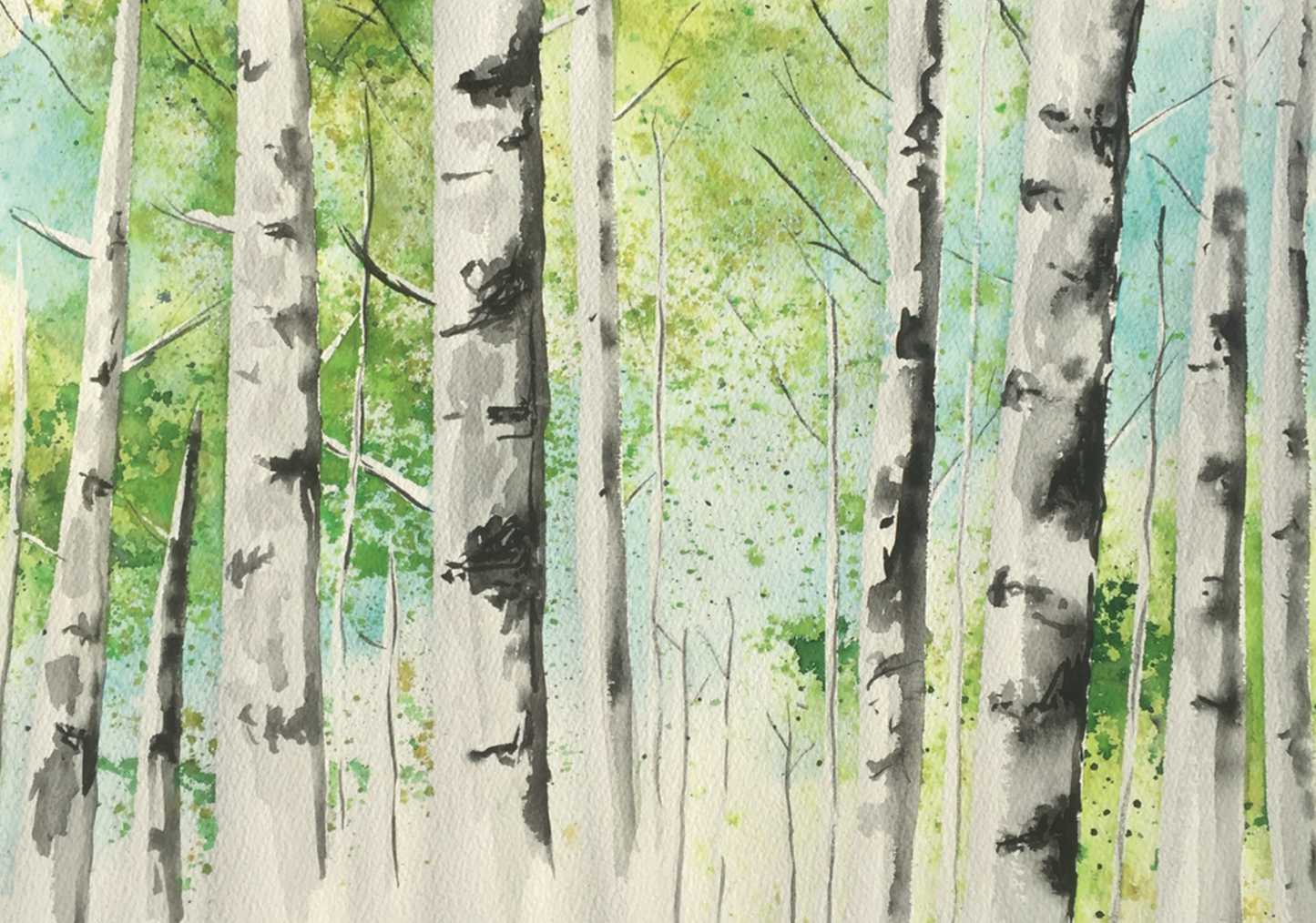Greeting Card - Birch Trees