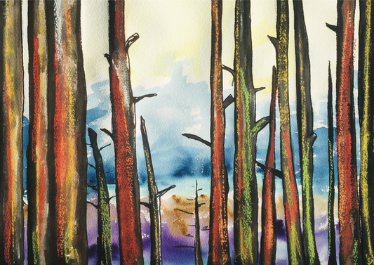 Greeting Card - Rainbow Forest